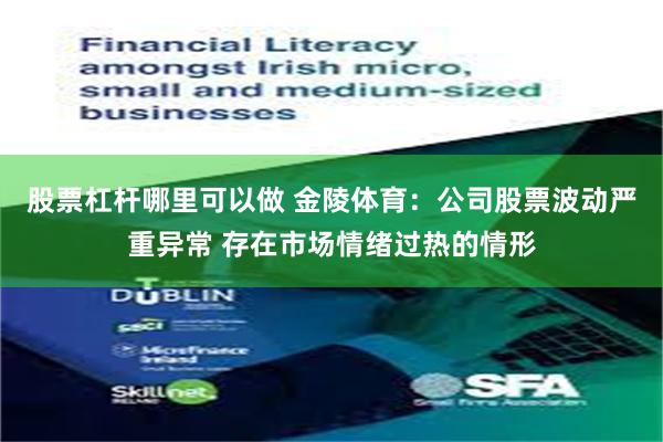股票杠杆哪里可以做 金陵体育：公司股票波动严重异常 存在市场情绪过热的情形