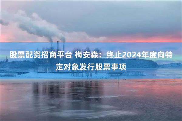 股票配资招商平台 梅安森：终止2024年度向特定对象发行股票事项