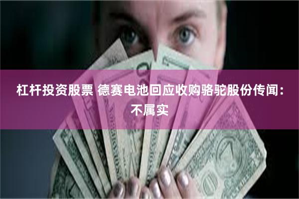 杠杆投资股票 德赛电池回应收购骆驼股份传闻：不属实
