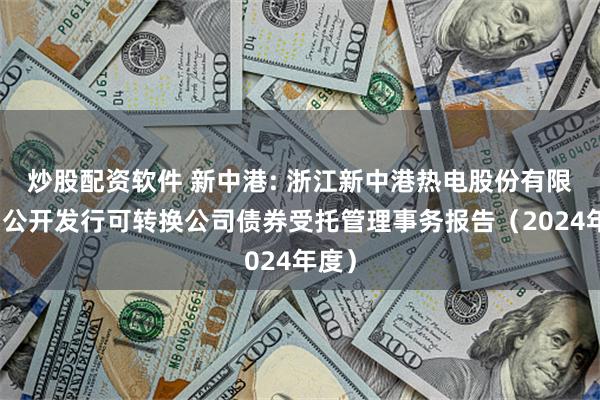 炒股配资软件 新中港: 浙江新中港热电股份有限公司公开发行可转换公司债券受托管理事务报告(2024年度)