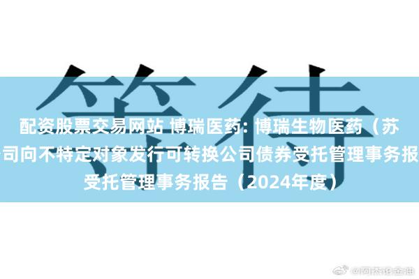 配资股票交易网站 博瑞医药: 博瑞生物医药(苏州)股份有限公司向不特定对象发行可转换公司债券受托管理事务报告(2024年度)