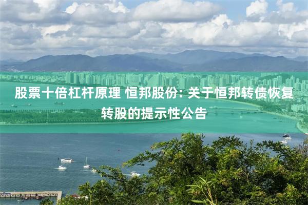 股票十倍杠杆原理 恒邦股份: 关于恒邦转债恢复转股的提示性公告