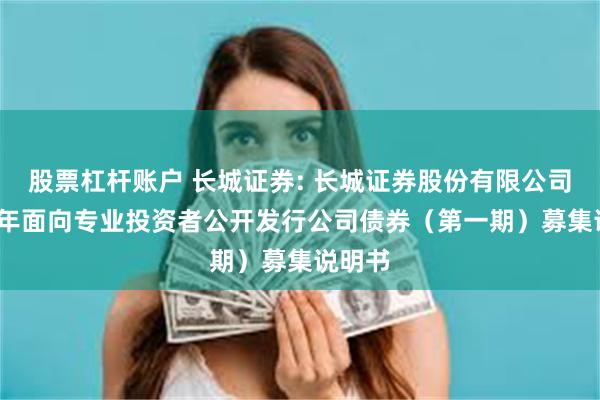股票杠杆账户 长城证券: 长城证券股份有限公司2025年面向专业投资者公开发行公司债券(第一期)募集说明书