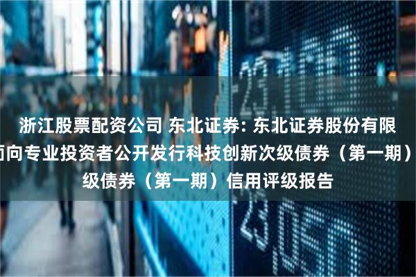 浙江股票配资公司 东北证券: 东北证券股份有限公司2025年面向专业投资者公开发行科技创新次级债券(第一期)信用评级报告