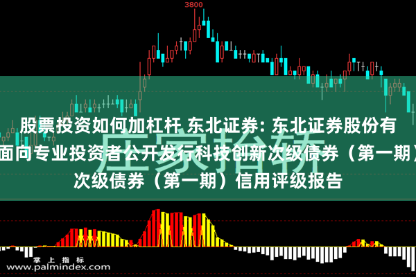 股票投资如何加杠杆 东北证券: 东北证券股份有限公司2025年面向专业投资者公开发行科技创新次级债券(第一期)信用评级报告