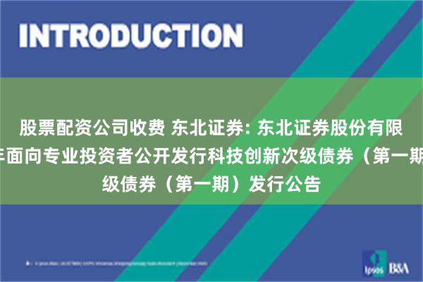 股票配资公司收费 东北证券: 东北证券股份有限公司2025年面向专业投资者公开发行科技创新次级债券(第一期)发行公告