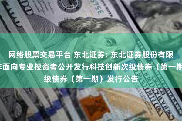 网络股票交易平台 东北证券: 东北证券股份有限公司2025年面向专业投资者公开发行科技创新次级债券(第一期)发行公告