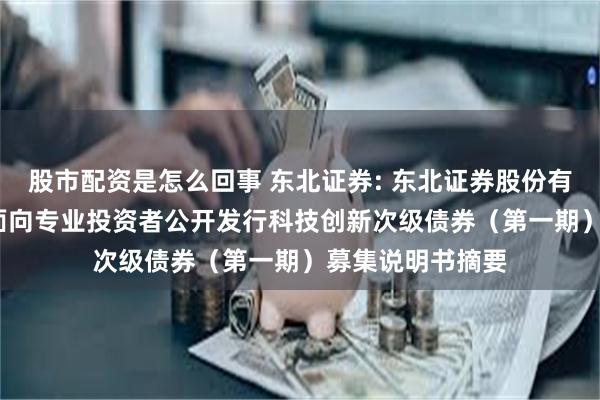 股市配资是怎么回事 东北证券: 东北证券股份有限公司2025年面向专业投资者公开发行科技创新次级债券(第一期)募集说明书摘要