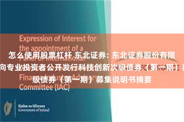 怎么使用股票杠杆 东北证券: 东北证券股份有限公司2025年面向专业投资者公开发行科技创新次级债券(第一期)募集说明书摘要