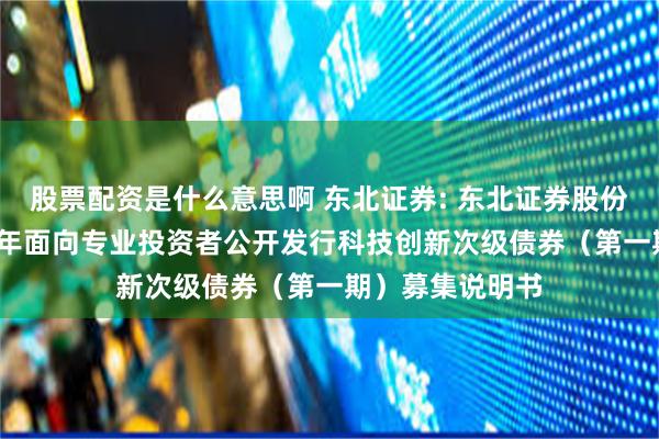 股票配资是什么意思啊 东北证券: 东北证券股份有限公司2025年面向专业投资者公开发行科技创新次级债券(第一期)募集说明书