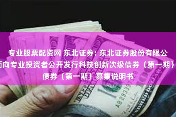专业股票配资网 东北证券: 东北证券股份有限公司2025年面向专业投资者公开发行科技创新次级债券(第一期)募集说明书