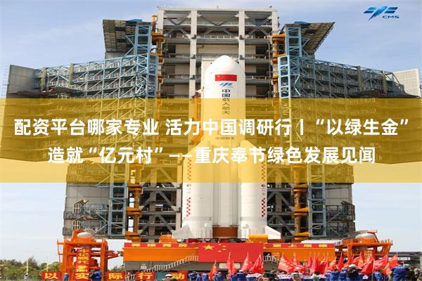配资平台哪家专业 活力中国调研行丨“以绿生金”造就“亿元村”——重庆奉节绿色发展见闻