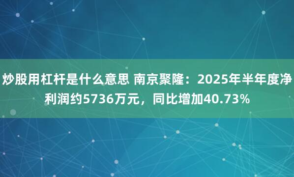 炒股用杠杆是什么意思 南京聚隆：2025年半年度净利润约5736万元，同比增加40.73%