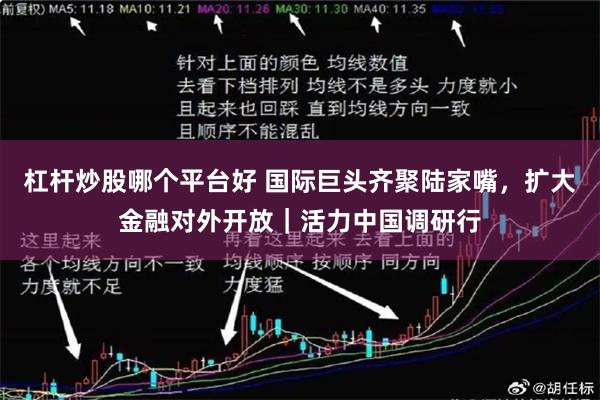 杠杆炒股哪个平台好 国际巨头齐聚陆家嘴，扩大金融对外开放｜活力中国调研行