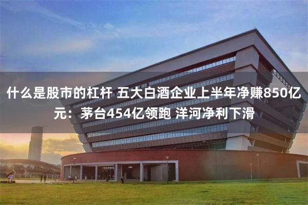 什么是股市的杠杆 五大白酒企业上半年净赚850亿元：茅台454亿领跑 洋河净利下滑
