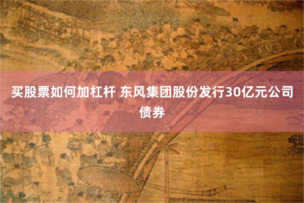 买股票如何加杠杆 东风集团股份发行30亿元公司债券