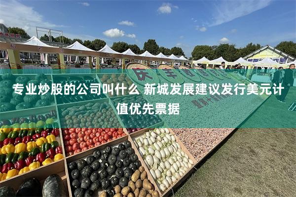 专业炒股的公司叫什么 新城发展建议发行美元计值优先票据