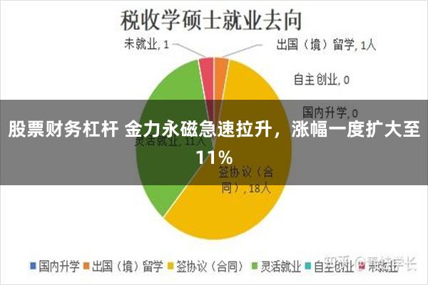股票财务杠杆 金力永磁急速拉升，涨幅一度扩大至11%