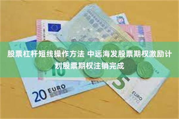 股票杠杆短线操作方法 中远海发股票期权激励计划股票期权注销完成