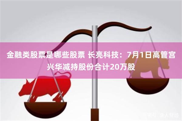 金融类股票是哪些股票 长亮科技：7月1日高管宫兴华减持股份合计20万股