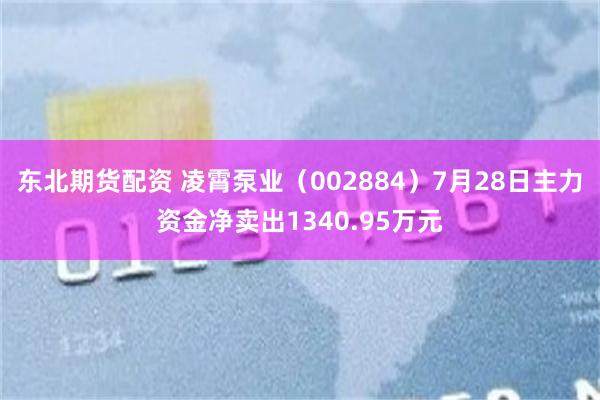 东北期货配资 凌霄泵业（002884）7月28日主力资金净卖出1340.95万元
