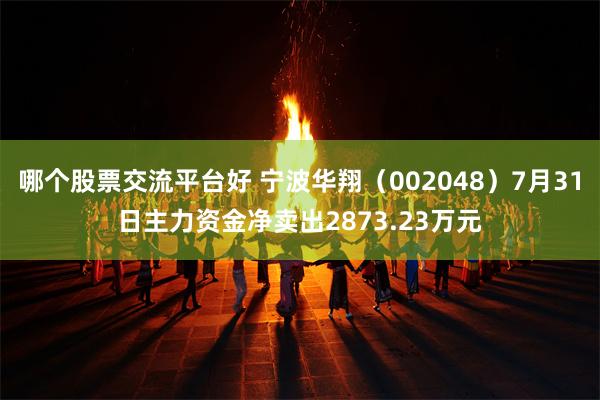 哪个股票交流平台好 宁波华翔（002048）7月31日主力资金净卖出2873.23万元