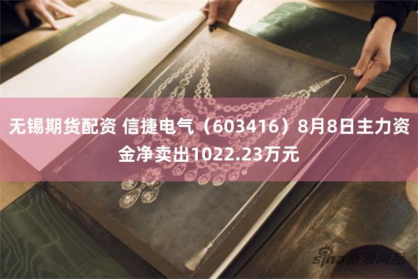 无锡期货配资 信捷电气（603416）8月8日主力资金净卖出1022.23万元