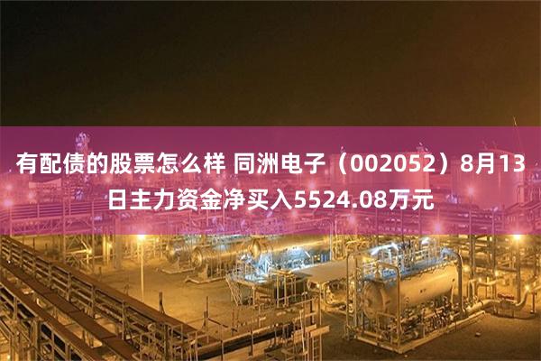 有配债的股票怎么样 同洲电子（002052）8月13日主力资金净买入5524.08万元
