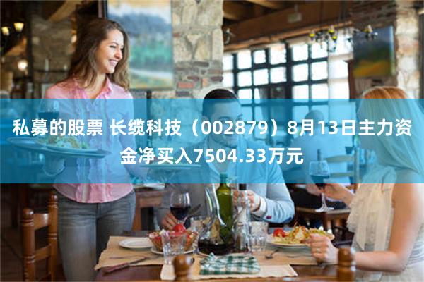 私募的股票 长缆科技（002879）8月13日主力资金净买入7504.33万元