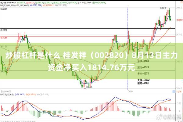 炒股杠杆是什么 桂发祥（002820）8月13日主力资金净买入1814.76万元