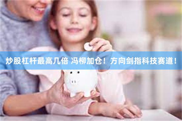 炒股杠杆最高几倍 冯柳加仓！方向剑指科技赛道！