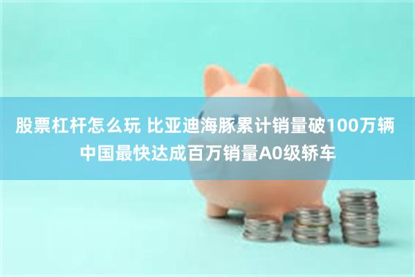 股票杠杆怎么玩 比亚迪海豚累计销量破100万辆 中国最快达成百万销量A0级轿车