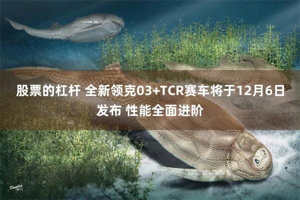 股票的杠杆 全新领克03+TCR赛车将于12月6日发布 性能全面进阶