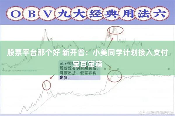 股票平台那个好 新开普：小美同学计划接入支付宝百宝箱
