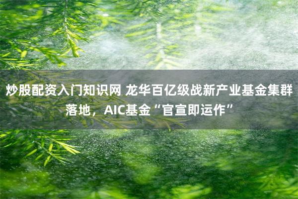 炒股配资入门知识网 龙华百亿级战新产业基金集群落地，AIC基金“官宣即运作”