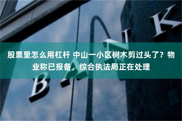股票里怎么用杠杆 中山一小区树木剪过头了？物业称已报备，综合执法局正在处理